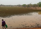 Building Peace through Climate-Resilient Resource Management in West Africa