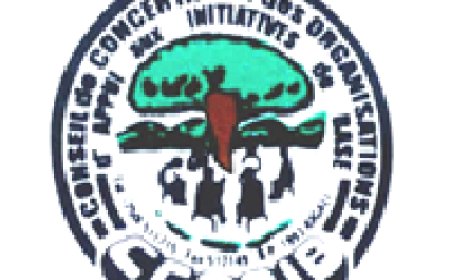 Terms of Reference to Recruit a Consultant (Individual/firm) to Profiling, Scoping and Capacity Development of Food Basket Sites (FOBAISI)