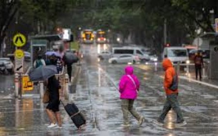 Changing rainfall patterns are significantly amplifying conflict risks worldwide – NEW REPORT