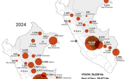 How Organized Crime Threatens the Amazon’s Uncontacted Tribes