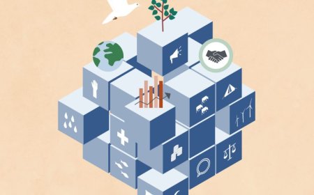 Why Peace Should be Integrated into Development Practices