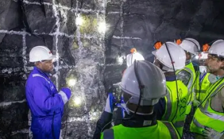 Power, minerals, sovereignty: The rise of US–Africa partnerships