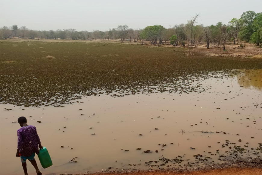 Building Peace through Climate-Resilient Resource Management in West Africa