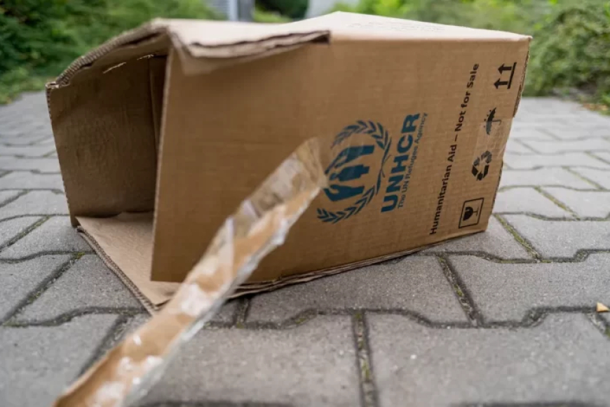 Five takeaways from the UN’s aid plans for 2026