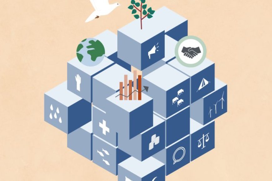 Why Peace Should be Integrated into Development Practices