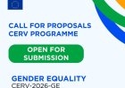 Call for Application: Citizens, Equality, Rights and Values Programme