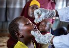 Preventive cholera vaccination resumes as global supply reaches critical milestone
