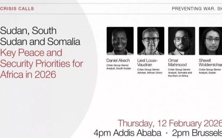 A virtual panel discussion on key peace and security priorities for Africa in 2026