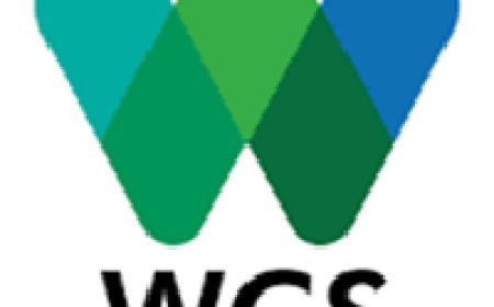 Regional Grants Manager, Central Africa & Gulf of Guinea