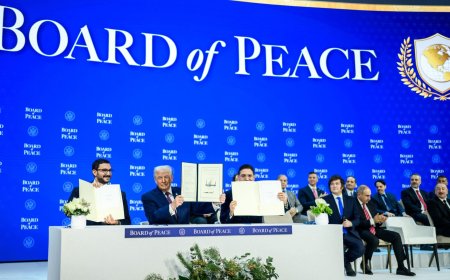 ISS warns Trump’s Board of Peace would marginalise sub-Saharan Africa