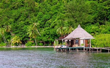 Pathways to Peace in West Papua: The Need for a Humanitarian Pause and Inclusive Dialogue