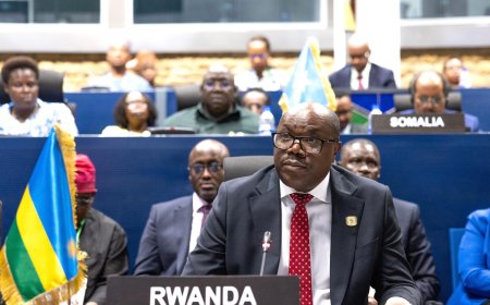 Rwanda offers support for South Sudan’s post-conflict rebuilding process