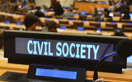More Than 70 Civil Society Groups Urge Competitive Elections for Key UN Committee