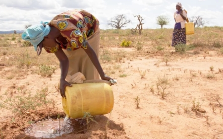 The Coming Food Catastrophe in East Africa by 2050