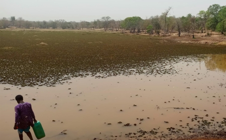 From Conflict to Collaboration: How Local Conventions Are Transforming Natural Resource Management and Supporting Peace in Central Mali