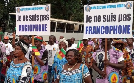 Conflict exacerbates economic crisis in Cameroon
