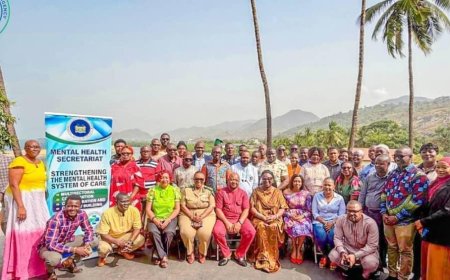 Sierra Leone Launches National Survey to Strengthen Mental Health and Psychosocial Support