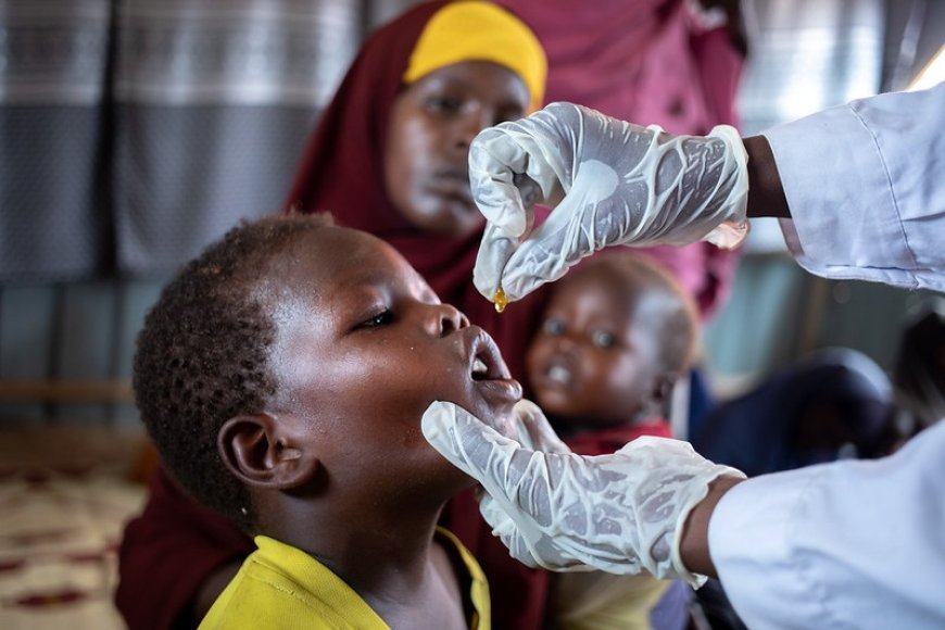 Preventive cholera vaccination resumes as global supply reaches critical milestone