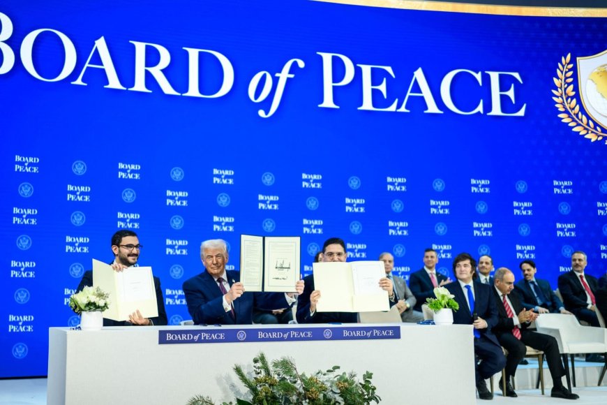 ISS warns Trump’s Board of Peace would marginalise sub-Saharan Africa