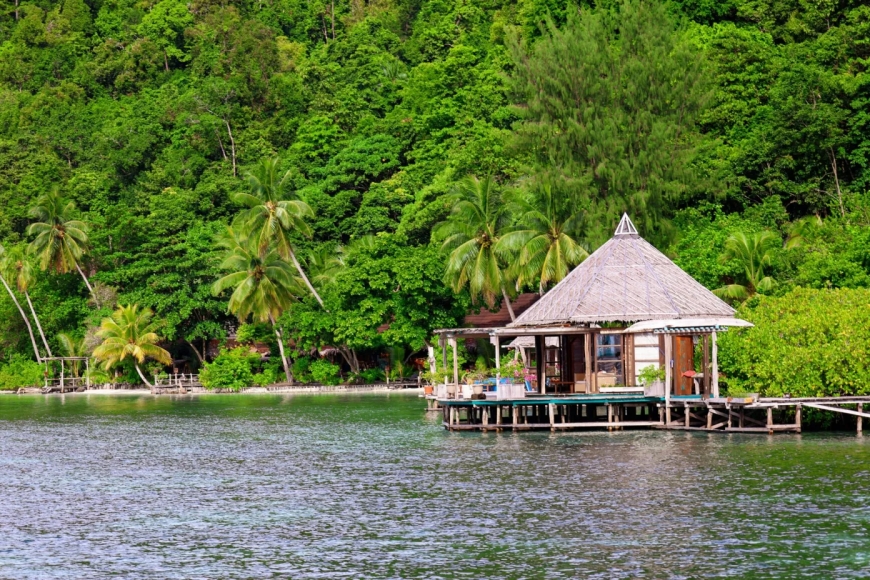 Pathways to Peace in West Papua: The Need for a Humanitarian Pause and Inclusive Dialogue