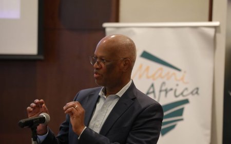 Africa at a Crossroads: Pan-Africanism, Global Disorder and Collective Security