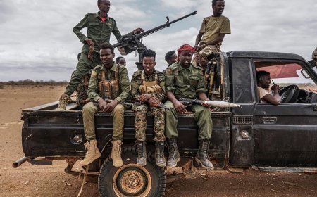 Africa Urged to Rethink Peace Architecture as Conflicts Intensify Across the Continent