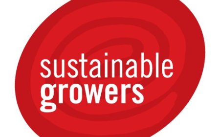 Tender Notice for Provision of Graphic Design Services Under Framework Agreement