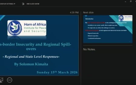 Experts Call for Stronger Regional Cooperation to Address Cross-Border Insecurity in the Horn of Africa