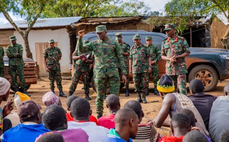 Rwanda, Tanzania Commanders Meet to Tackle Cross-Border Security Challenges