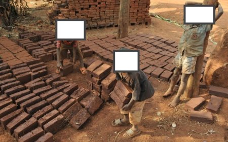 Inside of 41 million children engaged in labour across East, South Africa