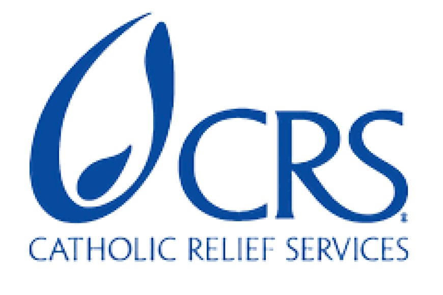 RISE program Manager