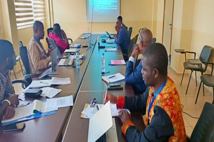 Why adopting peace journalism to reframe conflict reporting matters-CAR journalists