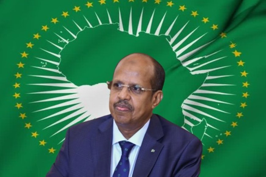 AU honors victims of transatlantic slave trade, pushes for reparative justice