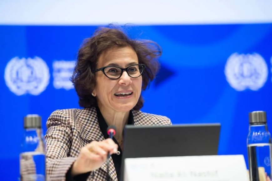 UN Reports 600 Summary Executions and 450 Cases of Sexual Violence in DR Congo