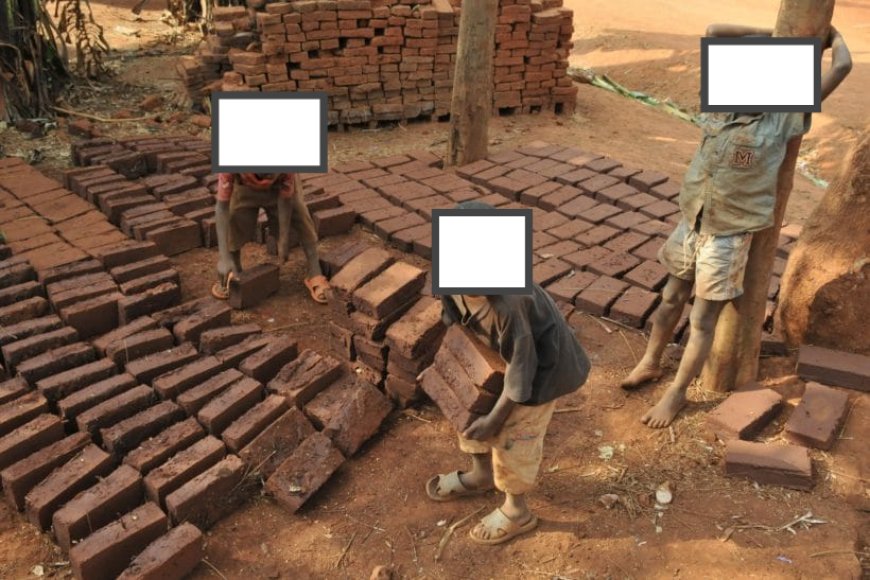 Inside of 41 million children engaged in labour across East, South Africa