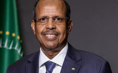 AUC chair backs China-Pakistan peace initiative for Middle East