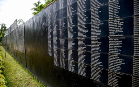 Genocide against the Tutsi: A Statistical Retrospective