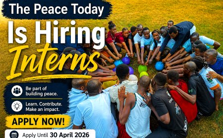 The Peace Today Is Hiring Inters: News Reporters, Video Editors, Graphic Designers and Content Creators