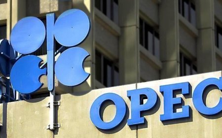 UAE to exit OPEC for Boosting Financial Independence