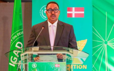 IGAD Warns Against ‘Commercialisation of Peace’ as Regional Tensions Rise