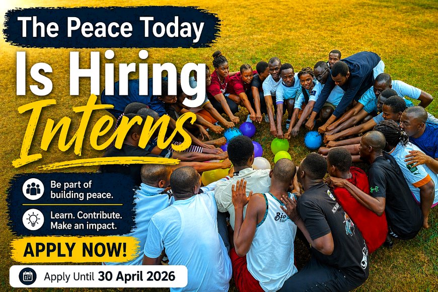 The Peace Today Is Hiring Inters: News Reporters, Video Editors, Graphic Designers and Content Creators