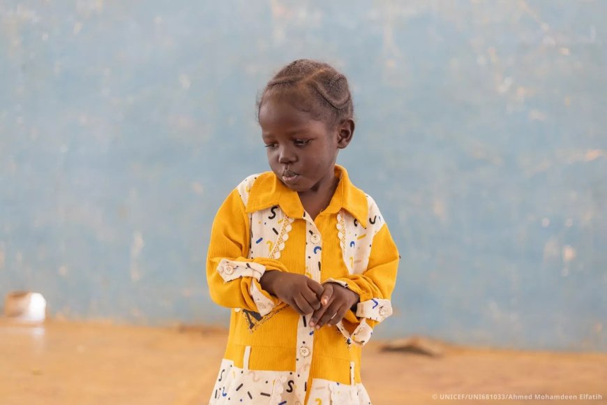 Sudan: 17 Million Children at Risk as Basic Services Collapse