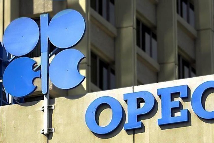 UAE to exit OPEC for Boosting Financial Independence