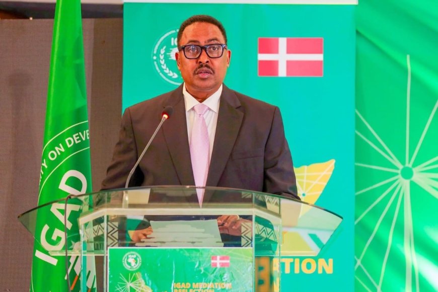 IGAD warns commercialization of peace as nations risk acquisition