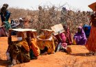 UN Warns 6 Million Face Hunger Emergency in Somalia