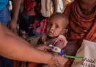 Sudan: Over 19 Million Face Acute Hunger as Famine Risk Stands