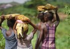 Why is over 40 million children still Africa’s unfinished ‘crisis’ in labour?