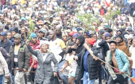 Over 100 Nigerians Seek Evacuation from South Africa