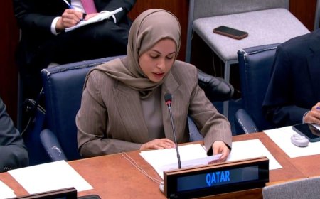Qatar Demands International Action to Halt Israeli Violations