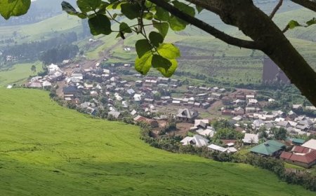 US Condemns DRC Government Forces' Attack in Masisi